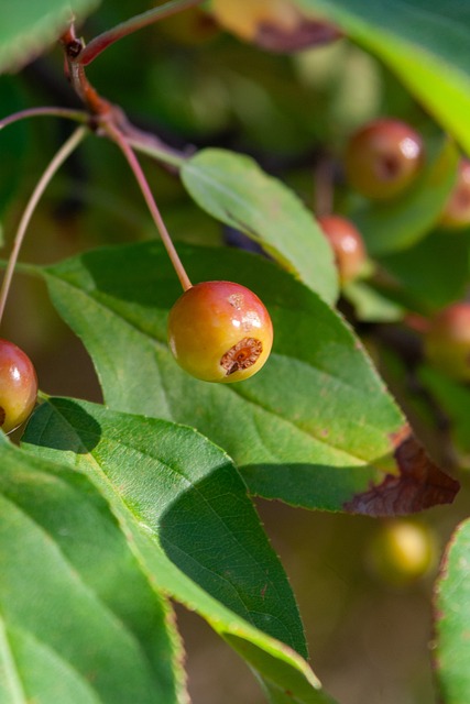 上的颓势 上的颓势