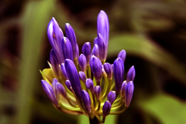 是至关重要 是至关重要