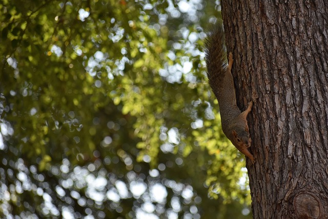养和提升年 养和提升年