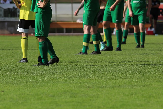 中率稳步提 中率稳步提